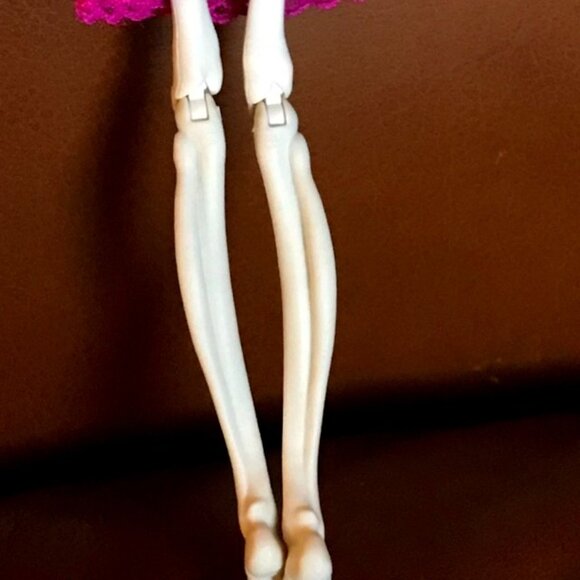 Monster High Skelita Calaveras Doll 2012 Mattel - Picture 12 of 15